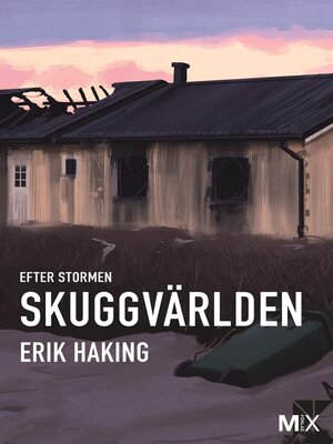 cover image of Efter stormen. Skuggvärlden